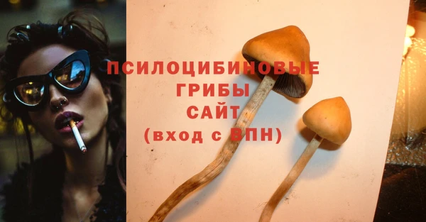 хмурый Аркадак