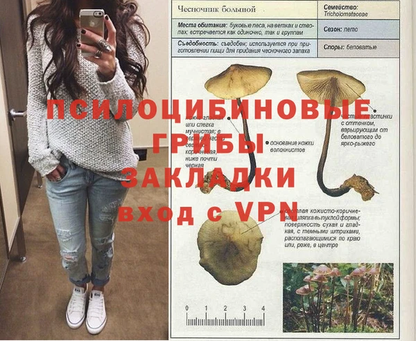 а пвп мука Балахна